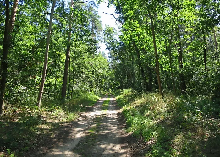 Strandhaus Am Oberuckersee Warnitz